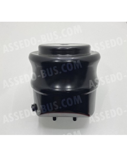 A3563202243 стакан подушки Mercedes O350/403/404 - передний левый