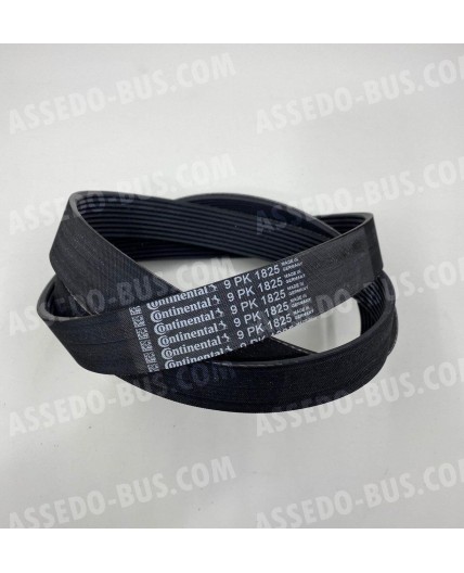 9PK1825 - ремень